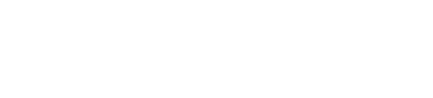 Stark Law Group - white logo